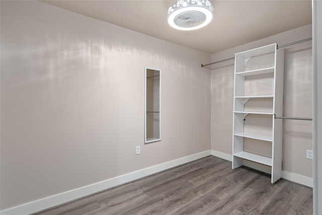 walk in closet with hardwood / wood-style flooring