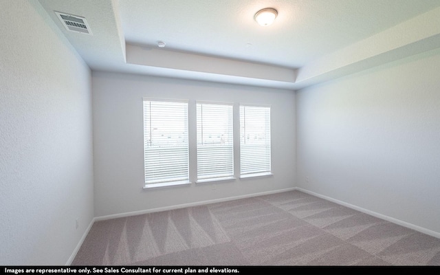 spare room with light colored carpet and a tray ceiling