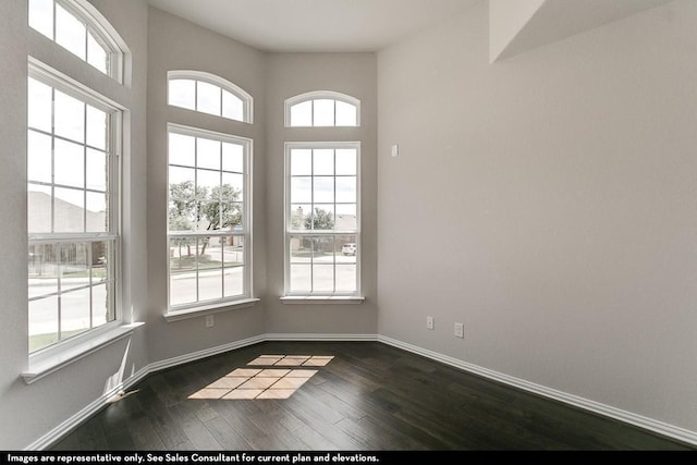 spare room with dark wood-type flooring and plenty of natural light