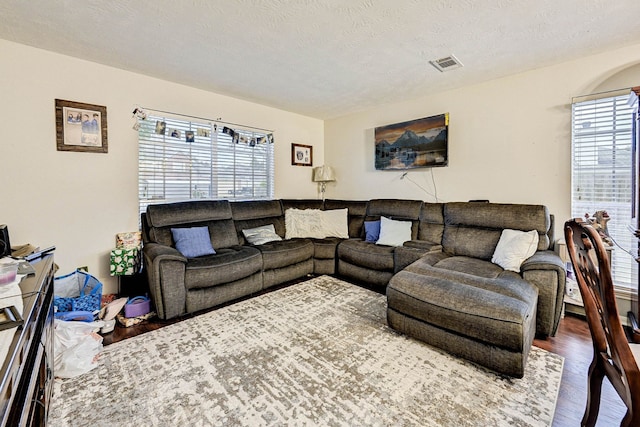 living room featuring a textured ceiling and hardwood / wood-style floors