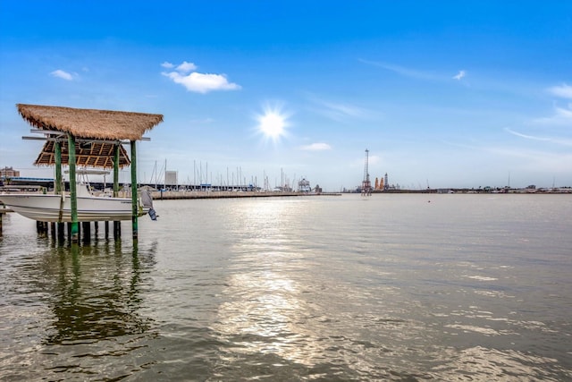 dock area with a water view