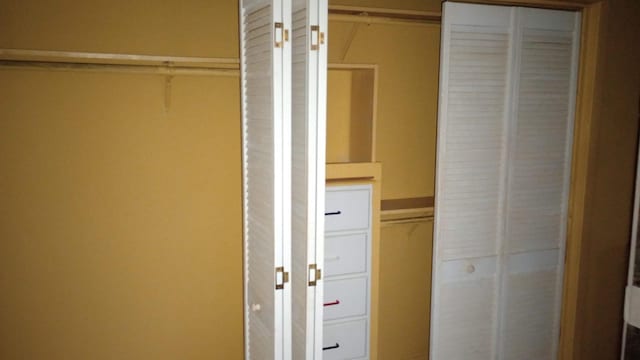 view of closet