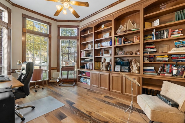 office featuring ceiling fan, wood-type flooring, and crown molding