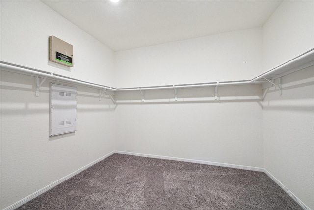 walk in closet featuring carpet floors