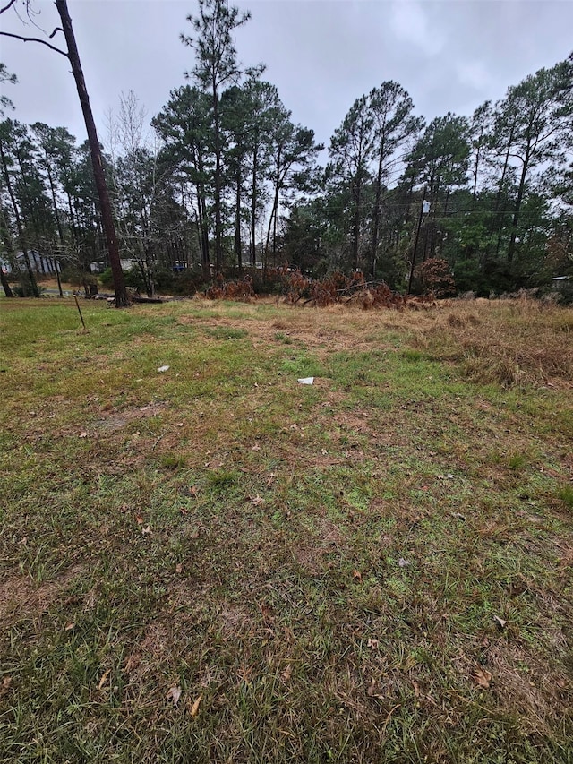 192 Elk St, Onalaska TX, 77360 land for sale