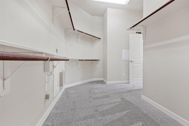 spacious closet featuring carpet flooring