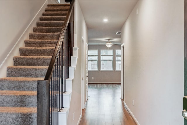 staircase with ceiling fan and hardwood / wood-style floors