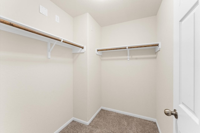 walk in closet featuring light carpet