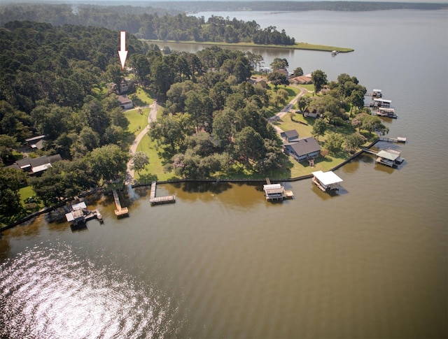 bird's eye view featuring a water view