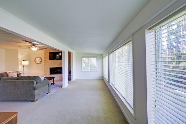 living room with carpet floors, ceiling fan, and a fireplace