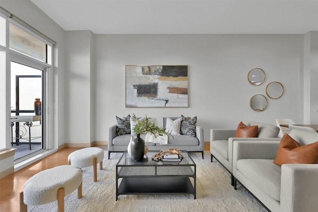 living room featuring light hardwood / wood-style flooring