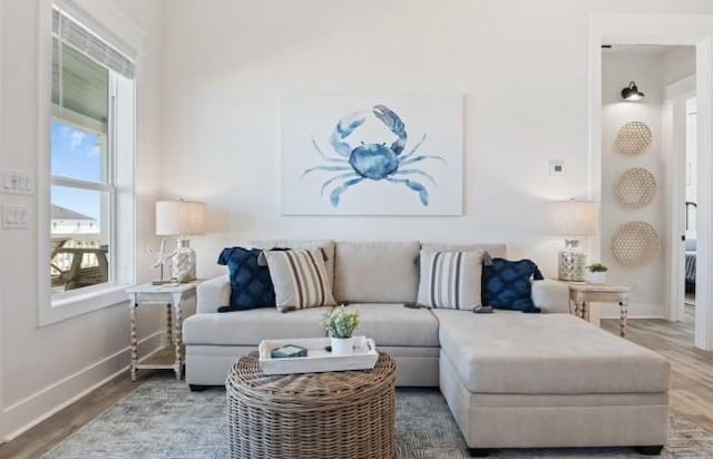 living room with hardwood / wood-style floors and a healthy amount of sunlight