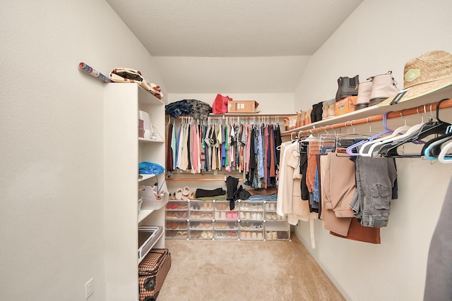 walk in closet featuring lofted ceiling and carpet flooring