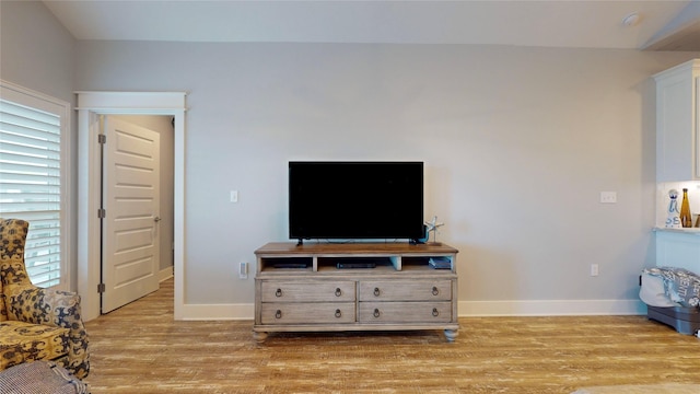 living room featuring a healthy amount of sunlight and light hardwood / wood-style floors