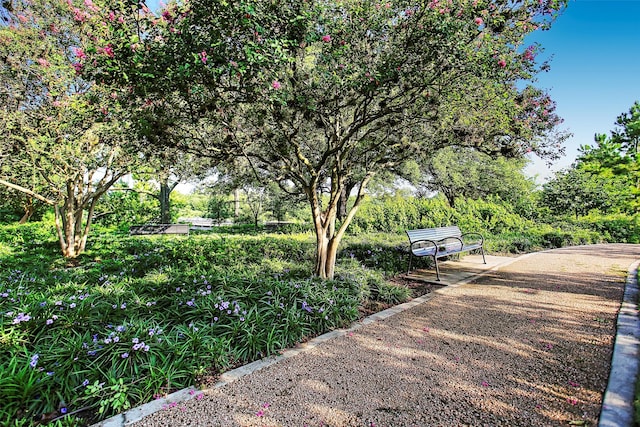 3037 Hicks St, Houston, TX 77007 - view of property's community