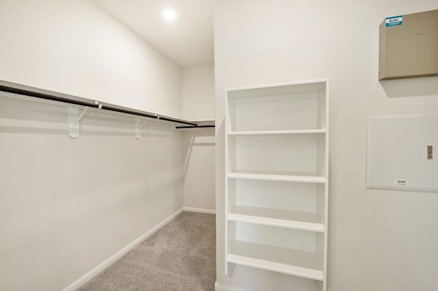 walk in closet with light carpet