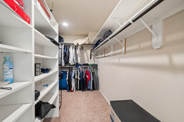 spacious closet featuring carpet flooring