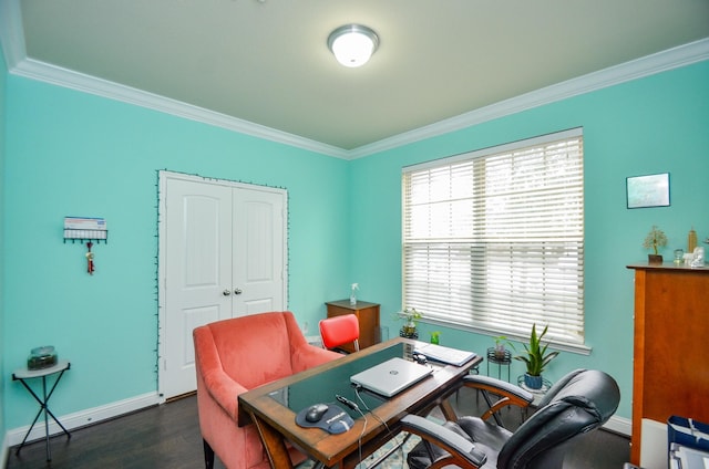 home office featuring crown molding and dark hardwood / wood-style floors