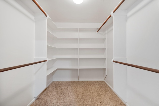 spacious closet featuring light carpet