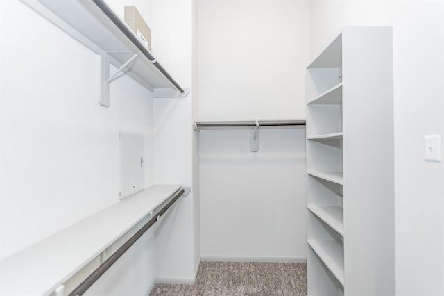 walk in closet featuring light colored carpet