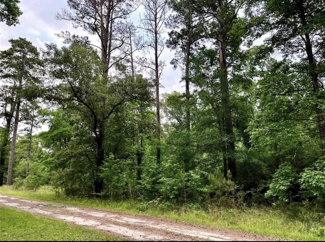 TBD Lakeside Cir, Trinity TX, 75862 land for sale