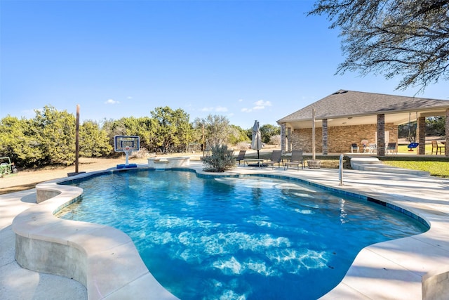 view of pool featuring a patio