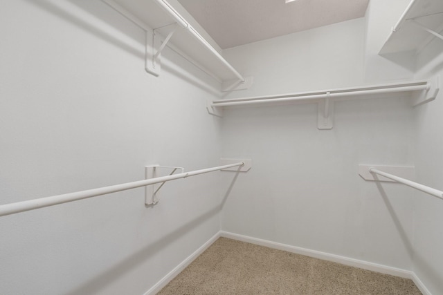 spacious closet featuring carpet floors