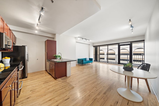 kitchen featuring sink, light hardwood / wood-style floors, rail lighting, and stainless steel appliances