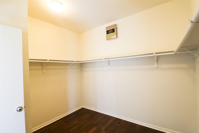 spacious closet with dark wood-type flooring