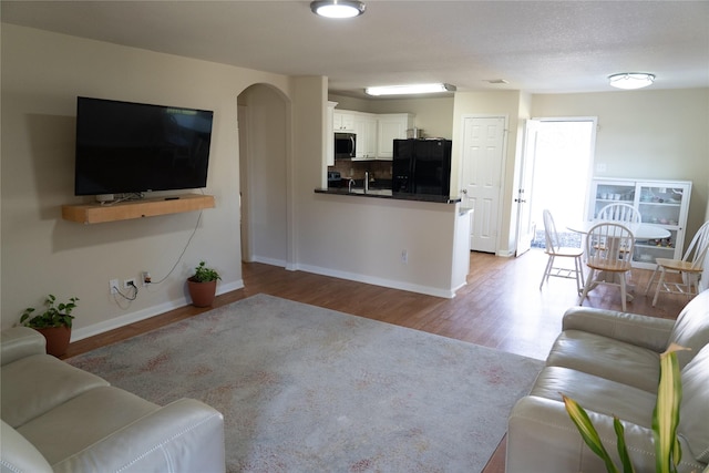 living room featuring light hardwood / wood-style flooring