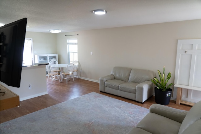 living room with wood-type flooring