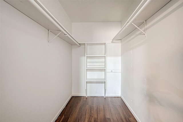 walk in closet with dark wood-type flooring