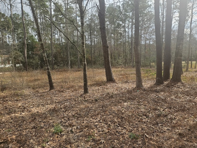 289 L Denson Rd, Coldspring TX, 77331 land for sale