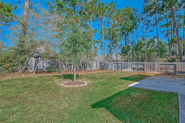 view of yard with a patio area