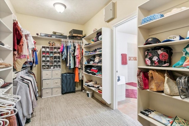 view of walk in closet