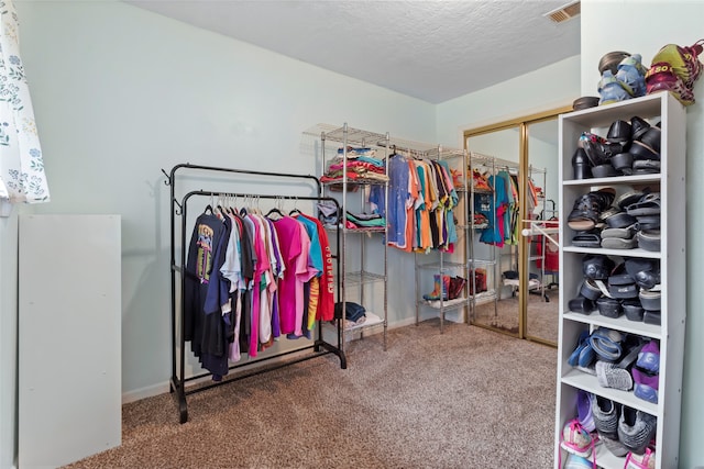 spacious closet with carpet