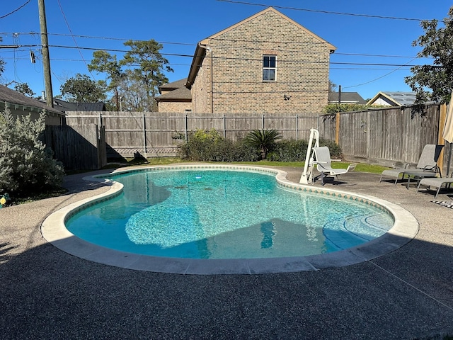 view of swimming pool with a patio