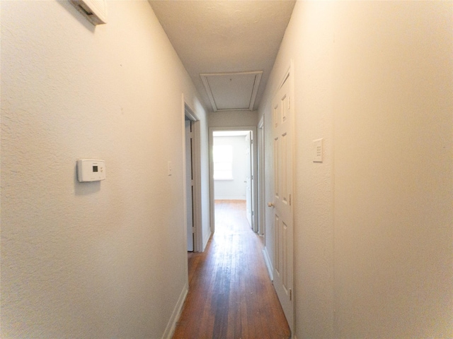 hallway with dark hardwood / wood-style floors