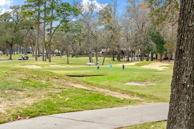 view of community with a yard