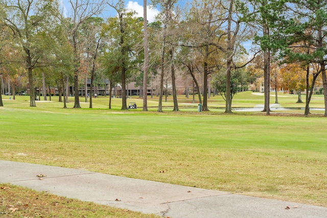 view of property's community with a lawn