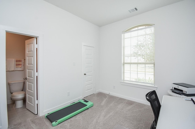 carpeted office with a healthy amount of sunlight