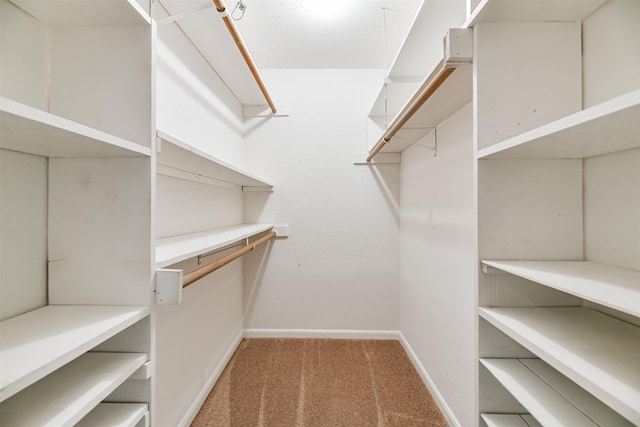 walk in closet with carpet flooring