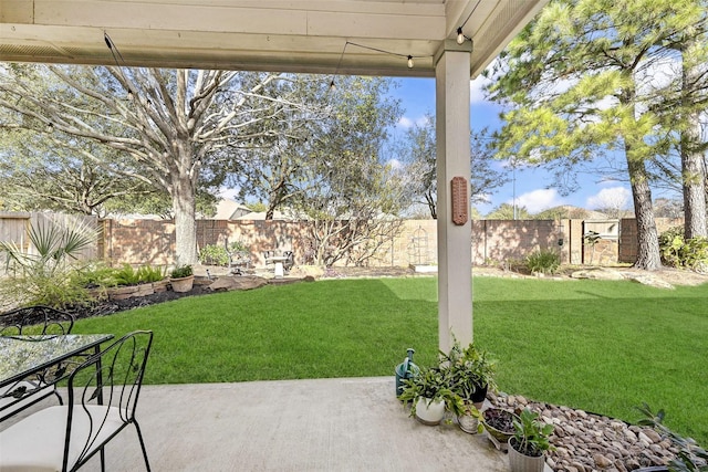 view of yard featuring a patio area