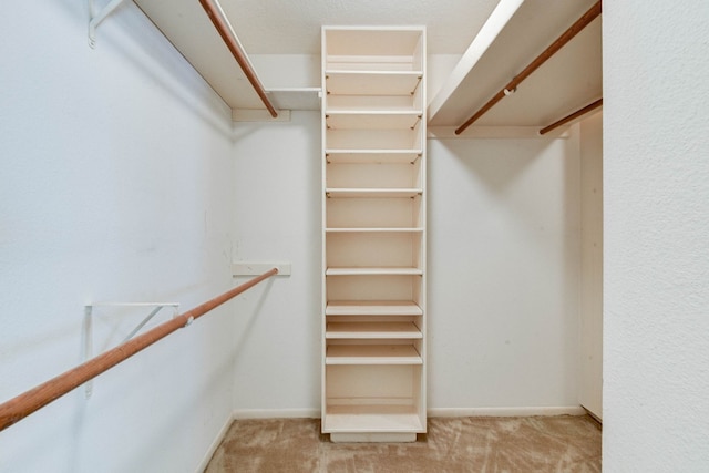 spacious closet featuring light colored carpet