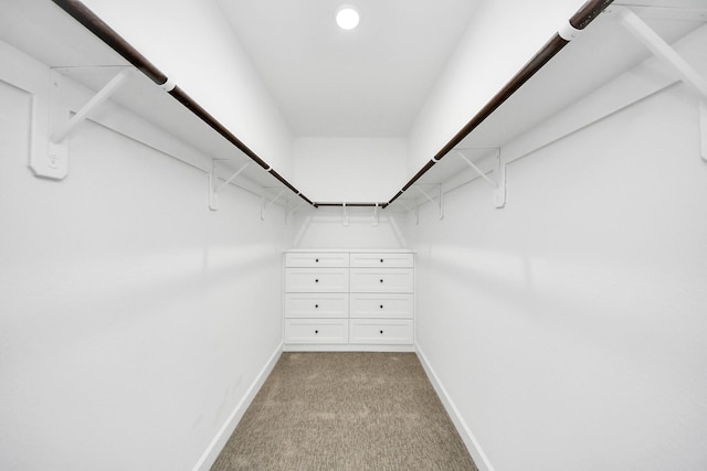 walk in closet featuring light colored carpet