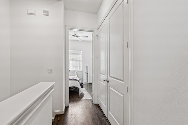 hall featuring dark hardwood / wood-style floors