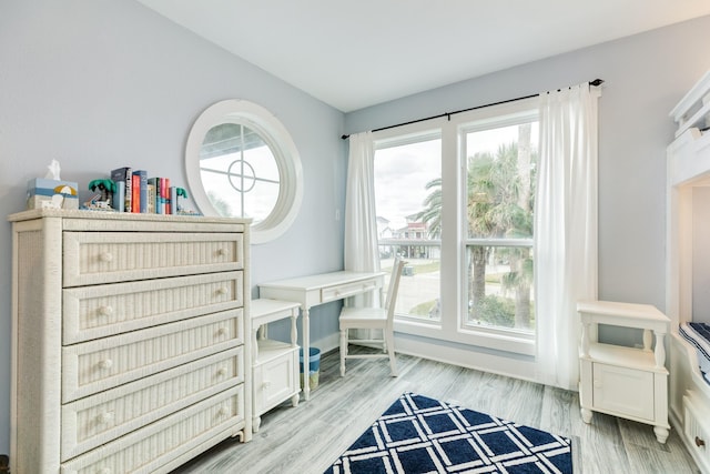 misc room featuring light hardwood / wood-style flooring