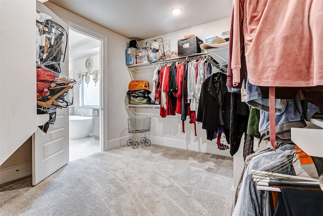 spacious closet featuring light colored carpet