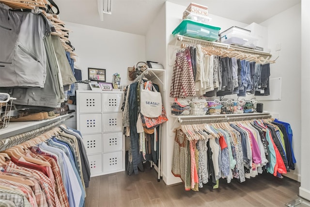 walk in closet with dark wood-type flooring