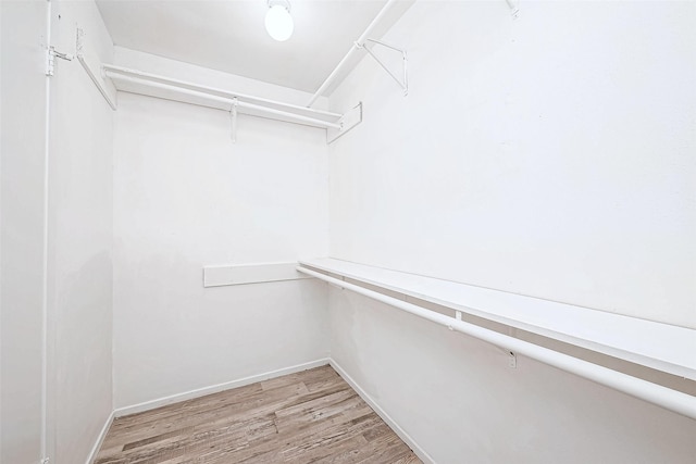 spacious closet featuring light hardwood / wood-style flooring